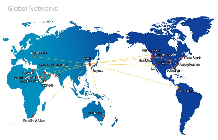 Global Networks2.jpg